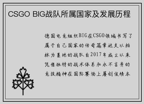 CSGO BIG战队所属国家及发展历程