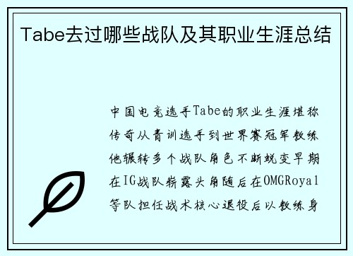Tabe去过哪些战队及其职业生涯总结